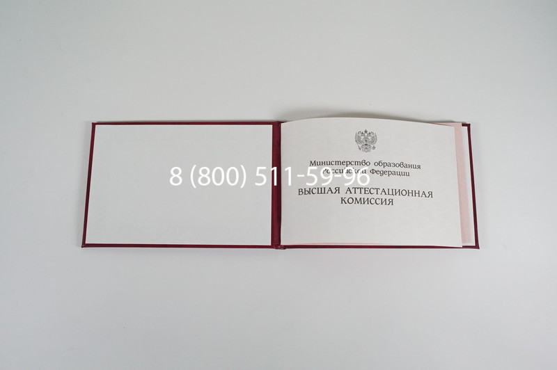 Диплом доктора наук 1995-2006 года в Новочеркасске