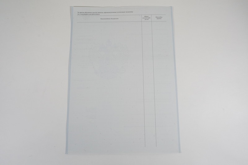Диплом о начальном образовании 2007-2009 годов в Новочеркасске Диплом о начальном образовании 2007-2009 годов в Новочеркасске